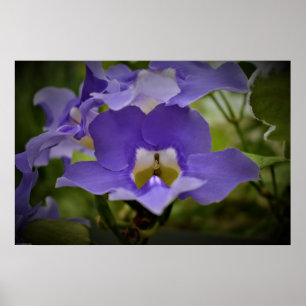 Paars en groen, poster