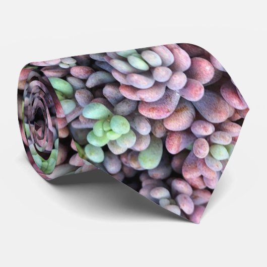 Paars en groen Sedum Dasyphyllum Succulent Stropdas (Opgerold)