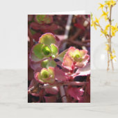 Paars en groen Succulent Plant Kaart (Gele Bloem)