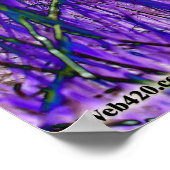 paars en groengras poster (Hoek)