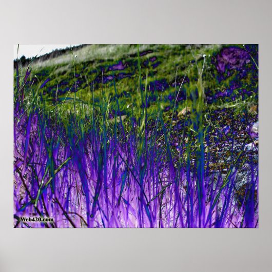 paars en groengras poster (Voorkant)