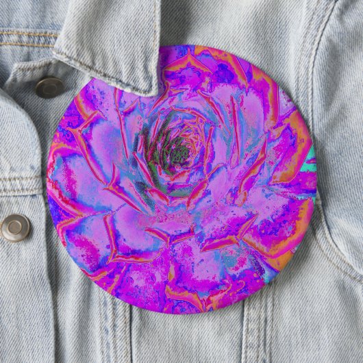 Paars en magenta Succulent Sedum Rosette Ronde Button 6,0 Cm (In situ)