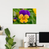 Paars en Oranje Sorbet Pansy Poster (Thuiskantoor)
