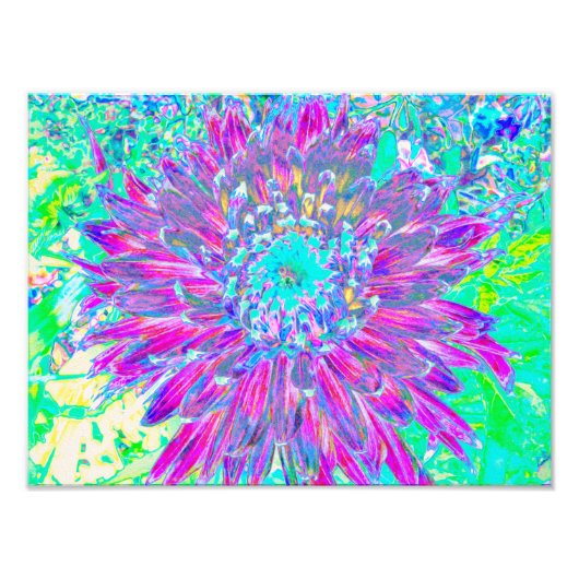 Paars en Robin's Egg Blue Decorative Dahlia Foto Afdruk (Voorkant)