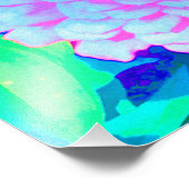  Paars en Roze Zinnia in de zomertuin Foto Afdruk (Hoek)