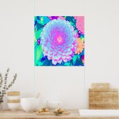  Paars en Roze Zinnia in de zomertuin Poster (Keuken)