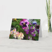 Paars en vrienden kaart (Voorkant)