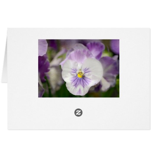 Paars en wit geweld door Shirley Taylor (Achterkant Horizontaal)