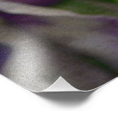 Paars en wit geweld door Shirley Taylor Foto Afdruk (Hoek)