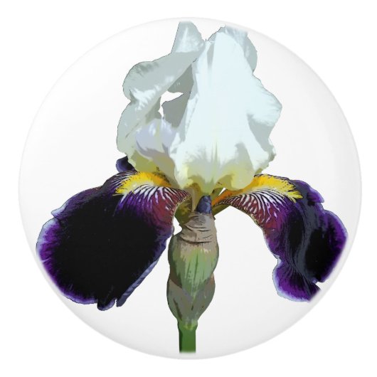 Paars en Witte Iris Keramische Ladeschijf Knop (Voorkant)