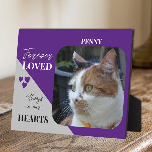 Paars foto-aandenken voor katten als sympathiegesc fotoplaat