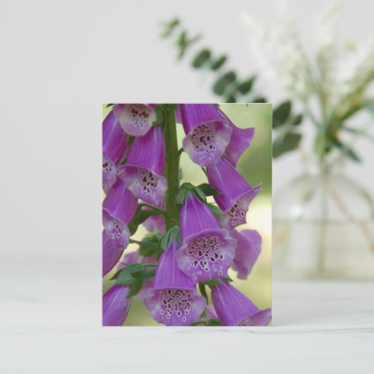 Paars Foxglove Briefkaart (Staand voorkant)