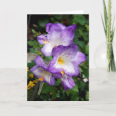 Paars Freesia Flowers Card Kaart (Voorkant)
