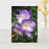 Paars Freesia Flowers Card Kaart (Gele Bloem)