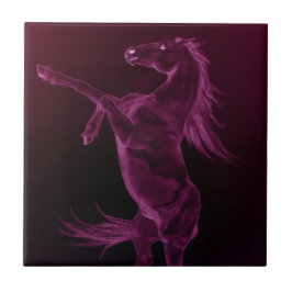 Paars-Friesland opfokkerij Tegeltje