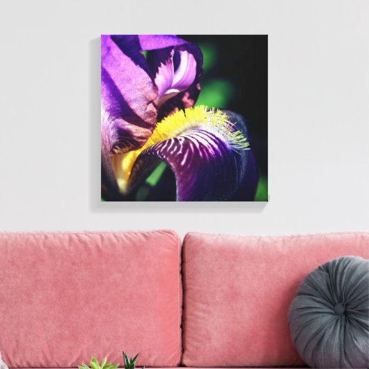 Paars gekruiste Iris Flower Petal Canvas Afdruk (Insitu (Woonkamer))