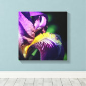 Paars gekruiste Iris Flower Petal Canvas Afdruk (Insitu (Houten vloer))
