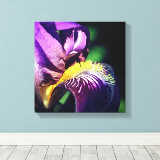 Paars gekruiste Iris Flower Petal Canvas Afdruk (Insitu (Houten vloer))