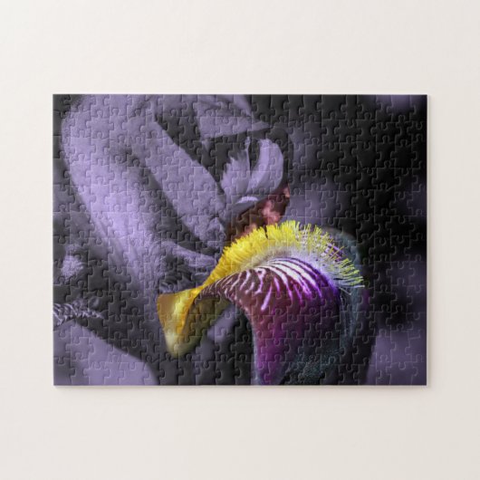 Paars gekruiste Iris Flower Petal Legpuzzel (Horizontaal)
