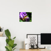 Paars gekruiste Iris Flower Petal Poster (Thuiskantoor)