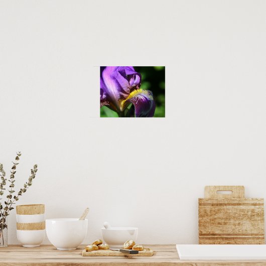 Paars gekruiste Iris Flower Petal Poster (Keuken)