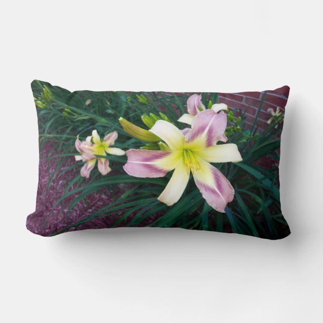Paars-gele Lily American Mojo gooit kussen (Voorkant)