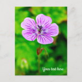 Paars Geranium Briefkaart (Voorkant)