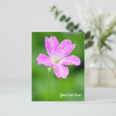 Paars Geranium Briefkaart (Staand voorkant)