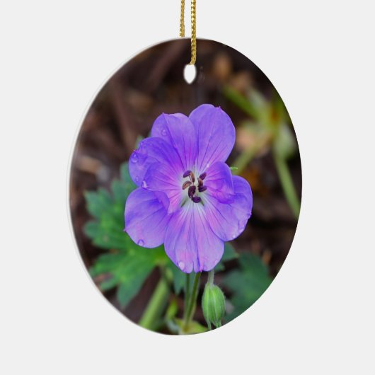Paars Geranium Circle Ornament (Rechts)