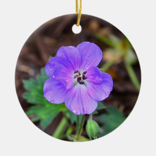 Paars Geranium Circle Ornament (Voorkant)