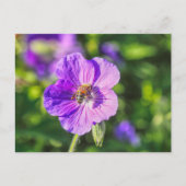 Paars Geranium met honingbijen Briefkaart (Voorkant)