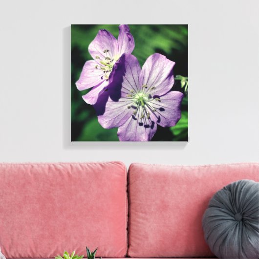  Paars-geraniumventilator sluit dicht Canvas Afdruk (Insitu (Woonkamer))