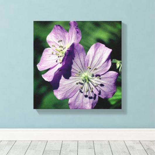  Paars-geraniumventilator sluit dicht Canvas Afdruk (Insitu (Houten vloer))