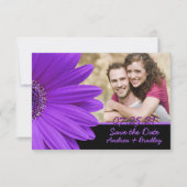 Paars Gerbera Daisy Black Photo Weddenschap Save The Date (Voorkant)
