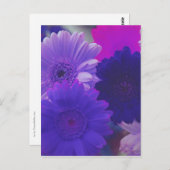 Paars Gerbera Daisy Flower Photo Art Briefkaart (Voorkant / Achterkant)