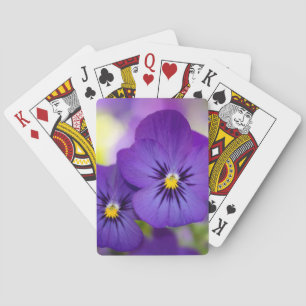 Paars geweld pokerkaarten