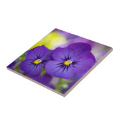 Paars geweld tegeltje (Zijkant)