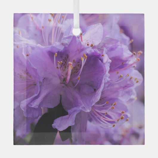 PAARS GLAS ORNAMENT (Voorkant)