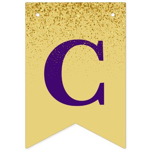 Paars Gold Sparkle Afstuderen Foto Vlaggetjes (Tweede vlag)