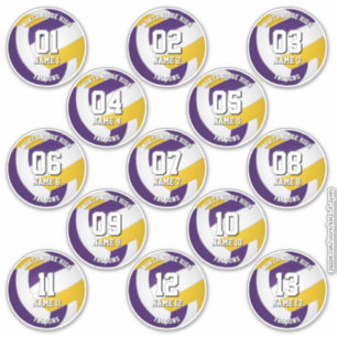 paars goud volleybalteamstickers 13 atleten sticker