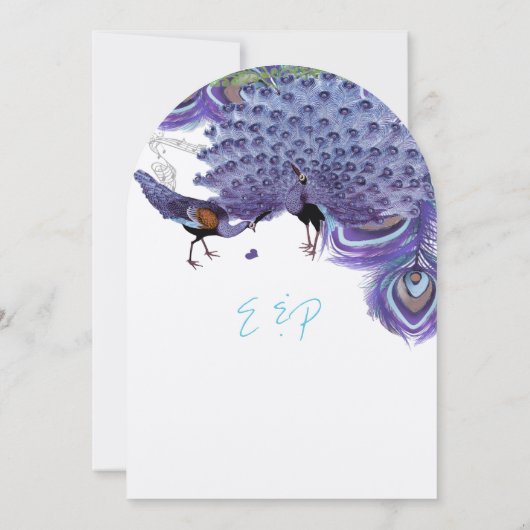Paars-groene koper-blauwe pacock-doezelaar kaart (Achterkant)