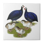 Paars-Guinea Tegeltje (Voorkant)