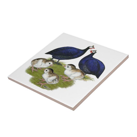 Paars-Guinea Tegeltje (Zijkant)