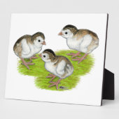 Paars Guinee Keets Fotoplaat (Zijkant)