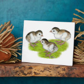 Paars Guinee Keets Fotoplaat (Zijkant)