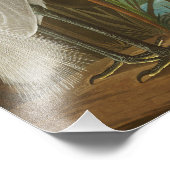 Paars Heron door John James Audubon Foto Afdruk (Hoek)