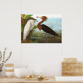 Paars Heron door John James Audubon Poster (Keuken)