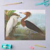 Paars Heron door John James Audubon Tissuepapier (Craft)