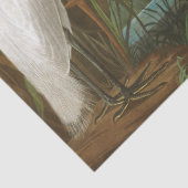 Paars Heron door John James Audubon Tissuepapier (Detail)