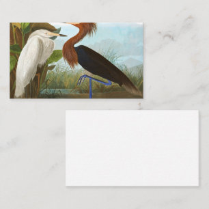Paars Heron door John James Audubon Visitekaartje